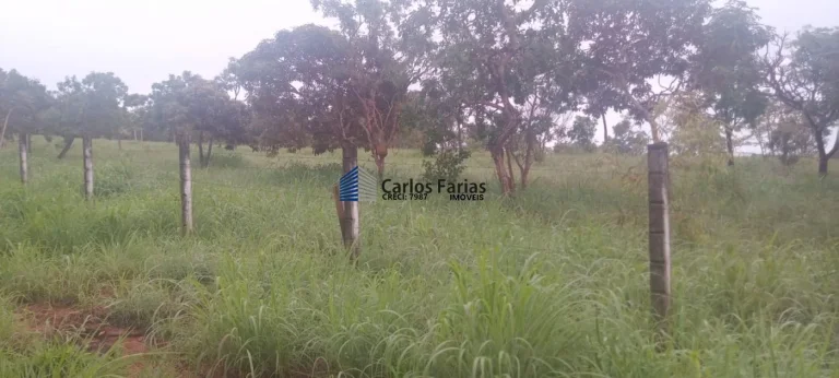 Imagem Chácara para Venda em Brasília, Setor Habitacional Tororó (Jardim Botânico), 1 dormitório, 1 banheiro, 2 vagas