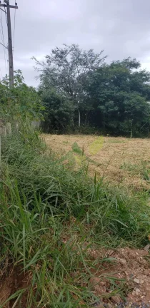 Imagem Terreno à Venda em Batatuba Piracaia