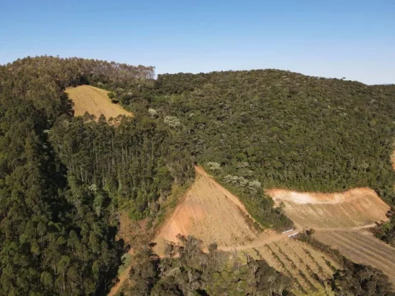 Imagem Fazenda à Venda, 4.463.400 m² em Zona Rural - Maria Da Fé