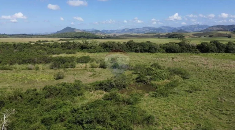Imagem Fazenda à Venda, 1.449.875 m² em Zona Rural - Anchieta