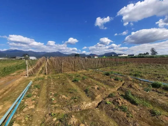 Imagem Terreno à Venda, Plano, Nível da Rua, com 11.089 m2. Sul do Rio, Santo Amaro da Imperatriz, SC
