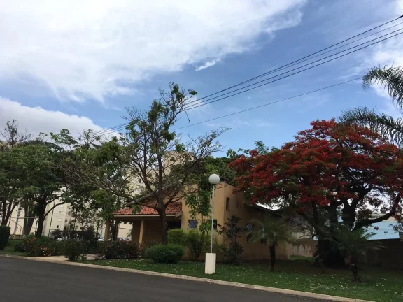 Imagem Apartamento Terreo 2 dorm com armários, sala com rack, cozinha com armários, banheiro; 55 m2 com u...