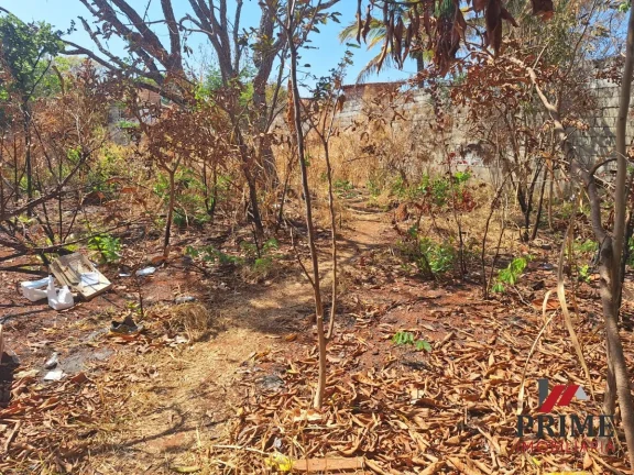 Imagem Lote - Bairro Praia Angélica - Lagoa Santa