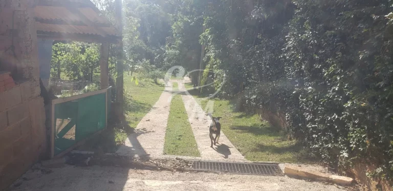 Imagem Chácara com 5.000 m² em Medeiros