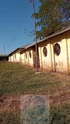 Imagem Fazenda Palmira 773 alqueires, a 60 km de Ribeirão Preto - SP, estrutura, cana e muita água - Serra Azul - SP - Brasil