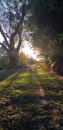 Imagem Sítio em Pau Arcado