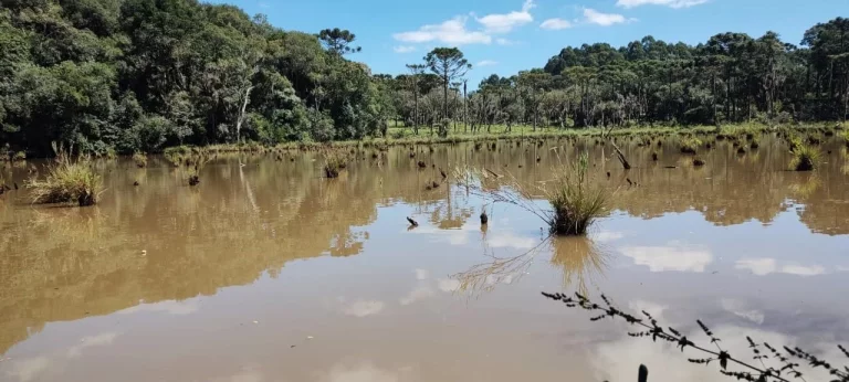 Imagem TERRENO RURAL em CAMPO BELO DO SUL - SC, Área Rural