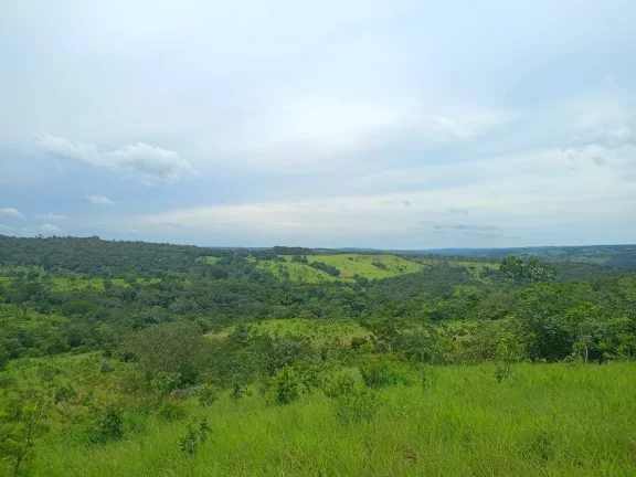 FAZENDA EM EM ABADIÂNIA DE GOIÁS