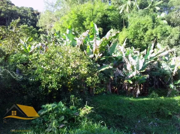 Imagem VENDO CHÁCARA COM 20 MIL MTS² EM RIBEIRÃO DO CAPITÃO (SÃO JOSÉ)