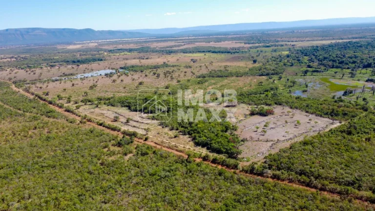 Imagem Fazenda a venda em Formosa: 281 hectares, água perene, dupla aptidão - escriturada e registrada.