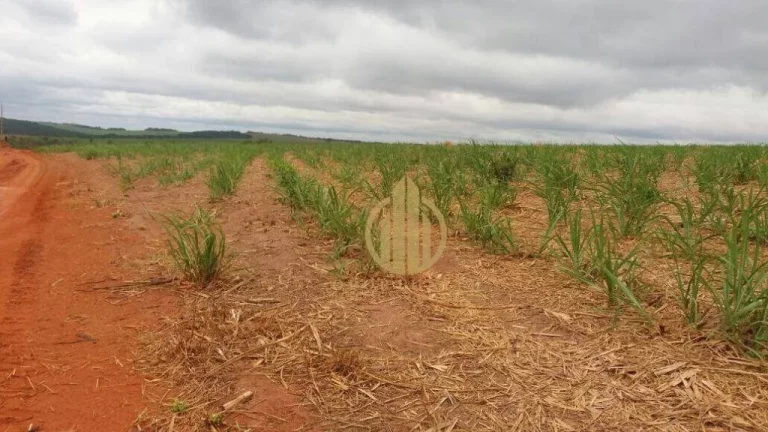 Fazenda rural à venda, Pecuária, Mineiros.