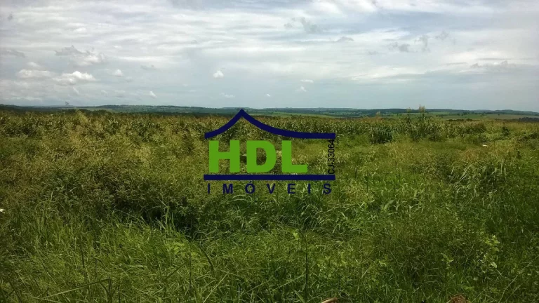 Imagem FAZENDA 38,5 ALQS EM PIRACANJUBA - GO