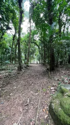 Imagem Chácara com casa de 3 dormitórios sendo 2 suítes e 8 vagas - Quiriri | Joinville/SC
