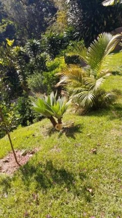Imagem Casa para Venda em Teresópolis / RJ no bairro Vale Feliz