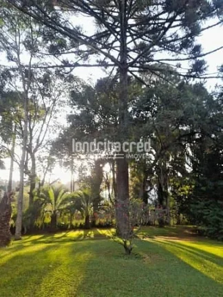 Imagem Chácara à venda 4 Vagas, 12000M², Vila Santa Cruz, Castro - PR