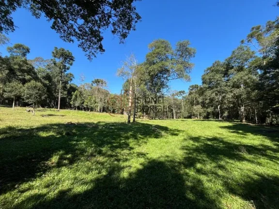 Imagem Sítio GUAÍBA - RS