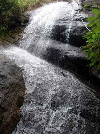 Imagem VENDO FAZENDA FICA A 25 KM DO CENTRO DE ANGRA 116 Hectares, MUITA ÁGUA