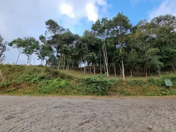 Imagem Terreno à venda, 567 m² por R$ 155.000,00 - Vargem Grande - Teresópolis/RJ