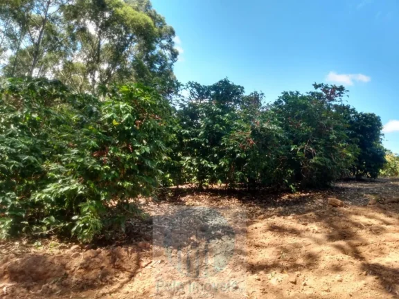 Imagem Sítio com 22.000 pés de café em Jacuí - Minas Gerais - 4 alqueires.