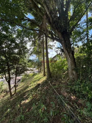 Imagem Sítio em Área Rural de Biguaçu, Biguaçu/SC
