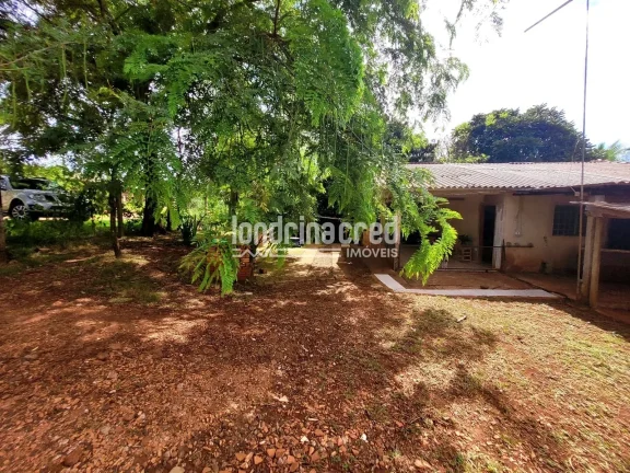 Imagem Chácara à venda 2 Quartos, 5600M², Dom Pedro I, Londrina - PR
