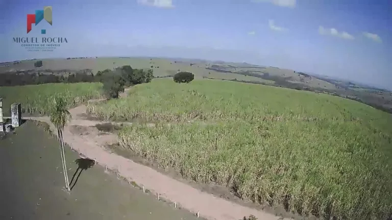 Imagem Fazenda a venda Região de Conchas SP