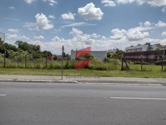 Imagem   