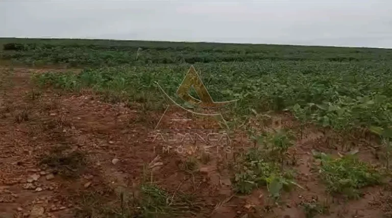 Imagem Fazenda - Casa Branca - Zona Rural