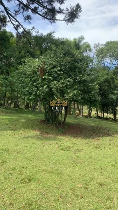 Imagem Chácara - Sítio com 3 Dormitorio(s) localizado(a) no bairro Linha Tapera em Gramado / RIO GRANDE DO SUL Ref.:1515