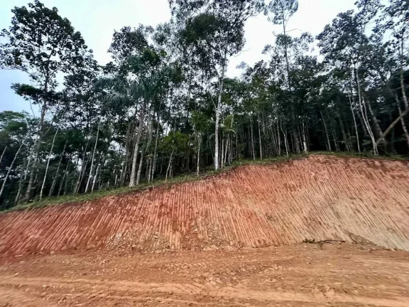 Imagem Terreno rural com 30.142,92m² em Massaranduba/SC