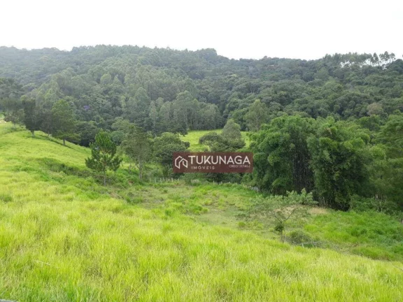 Imagem Sítio à venda, 82450 m² por R$ 1.100.000,00 - Pitangueiras - Pedra Bela/SP