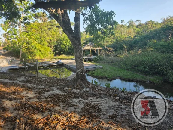 Imagem Terra de Patrão c/ 412 hectares à 27 km de Porto Velho