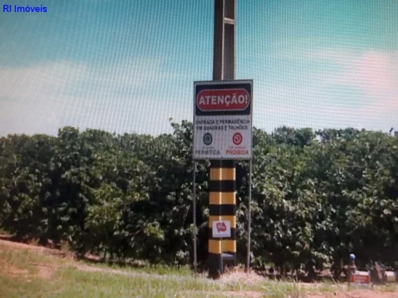 Imagem FAZENDA COMERCIAL em SÃO PAULO - SP, JARDIM SANTO ELIAS