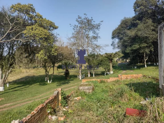 Imagem ÁREA EM BALSA NOVA COM 13.530,10M²