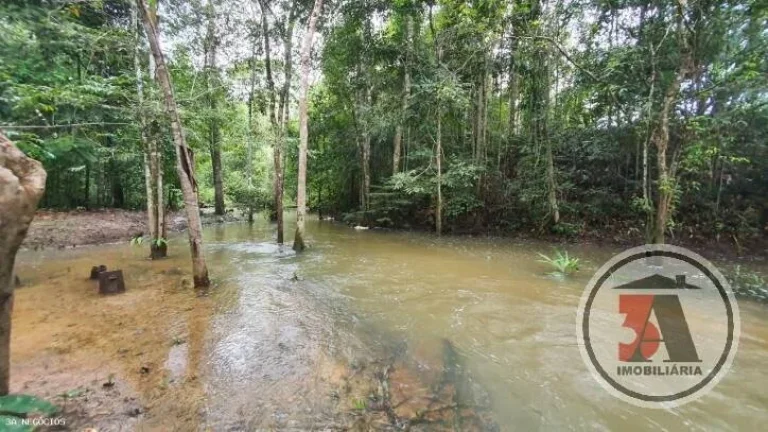 Imagem 133 Alqueires c/ Balneário a 17km de Porto Velho -RO