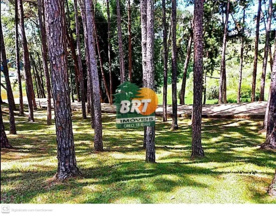 Imagem Sítio para Venda em São Roque, Marmeleiro, 5 dormitórios, 2 suítes, 1 banheiro, 4 vagas