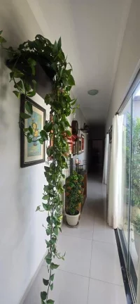 Imagem Casa com Quintal,Área de serviço e Garagem, em Vila Bela, Guaratinguetá