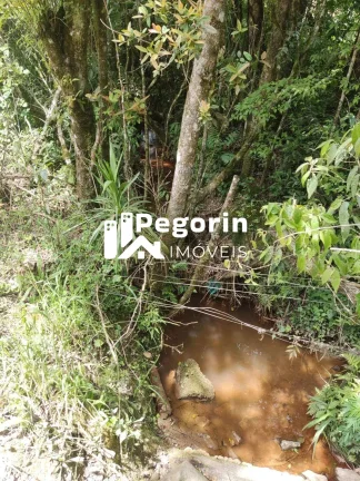Imagem Chácara para Venda, Campo Magro / PR, bairro Hervalzinho, área total 24.397,00 m²