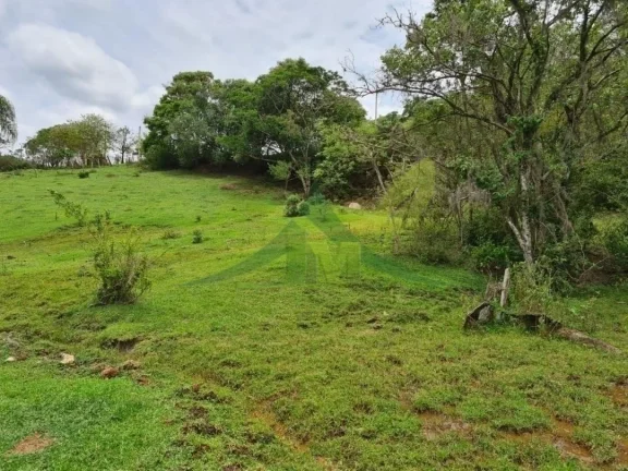 Imagem Lindo Sítio à Venda em Piracaia – 48.400 m² de Tradição e Beleza Natural