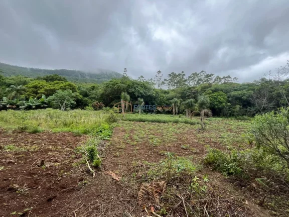 Imagem Hectares no Sul, Area de terra no RS, Hectare em maquine, RS