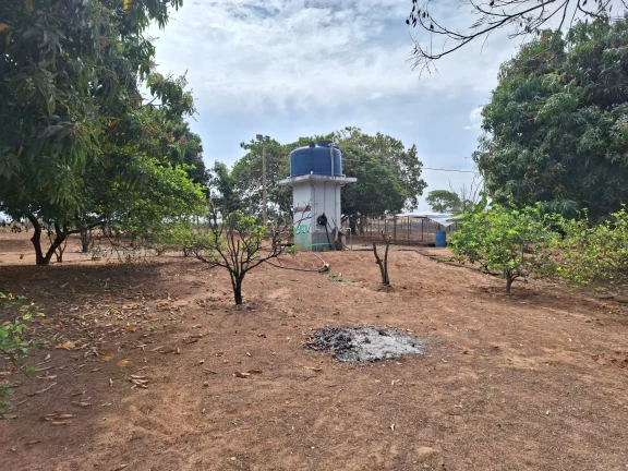 Imagem Imóvel à venda em Rifaina-SP