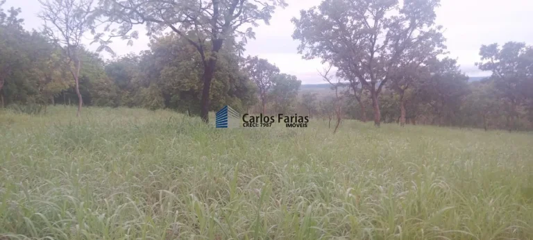 Imagem Chácara para Venda em Brasília, Setor Habitacional Tororó (Jardim Botânico), 1 dormitório, 1 banheiro, 2 vagas