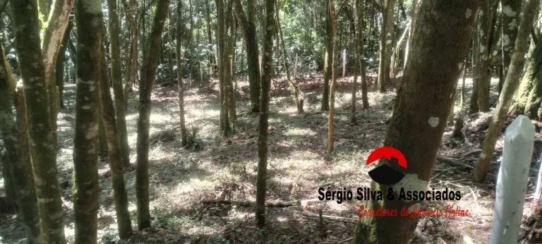 Imagem Terreno a Venda Localizado na Região da Vila Natal em Campos do Jordão -SP.