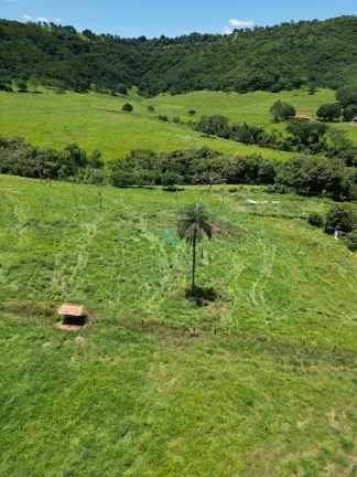 Imagem SÍTIO DE 24,99 ALQUEIRES (60,49 hectares) em RIFAINA/SP COM ESTRUTURA COMPLETA, 03 CASAS SIMPLES, E MUITA ÁGUA..