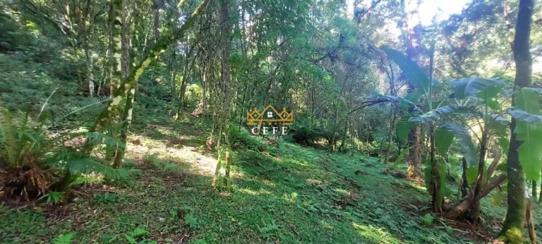 Imagem Chácara - Sítio com 2 Dormitorio(s) localizado(a) no bairro Carapina em São Francisco de Paula / RIO GRANDE DO SUL Ref.:1539