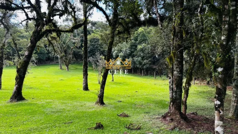 Imagem Chácara - Sítio com 3 Dormitorio(s) localizado(a) no bairro Vila Mina em Canela / RIO GRANDE DO SUL Ref.:1562