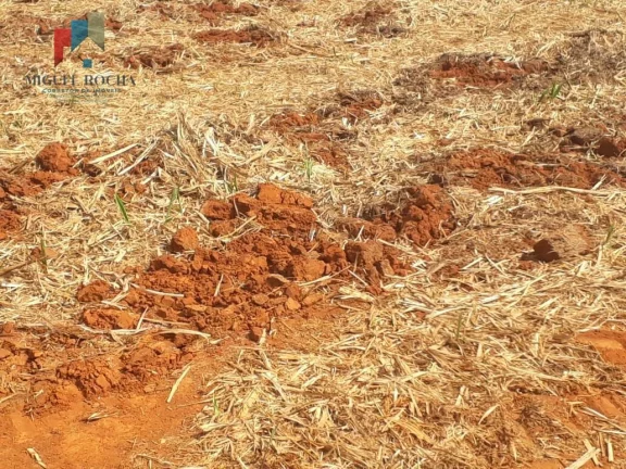 Imagem Sítio a venda Cesário Lange SP