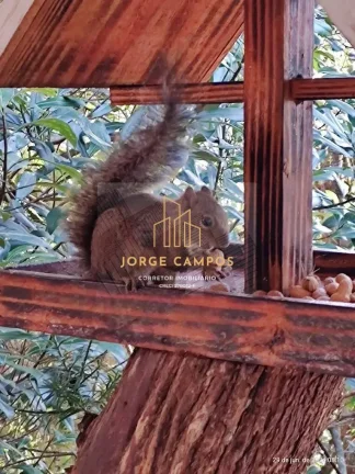 Imagem PO-25253 - POUSADA À VENDA NA VILA INGLESA EM CAMPOS DO JORDÃO - SP