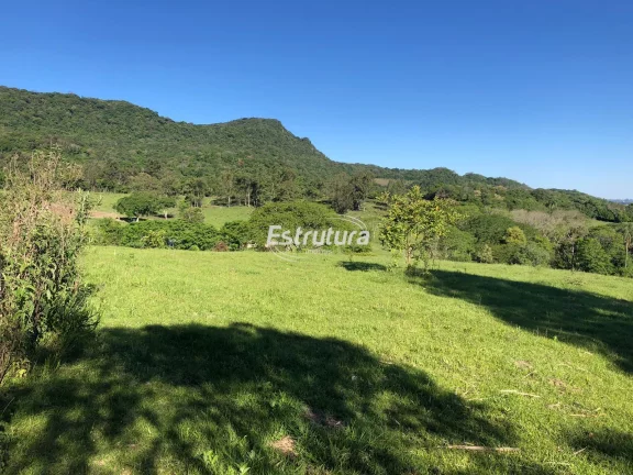 Imagem Chácara na Estrada Quirino Rosa