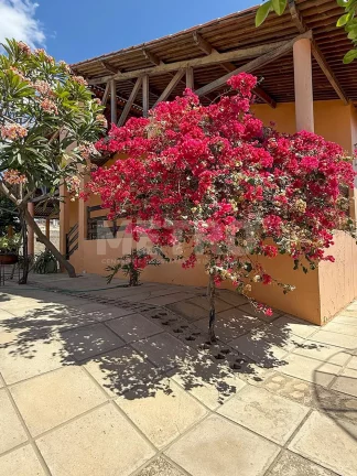 Imagem Ponto Comercial para locação, Atrás da Banca, Petrolina-PE